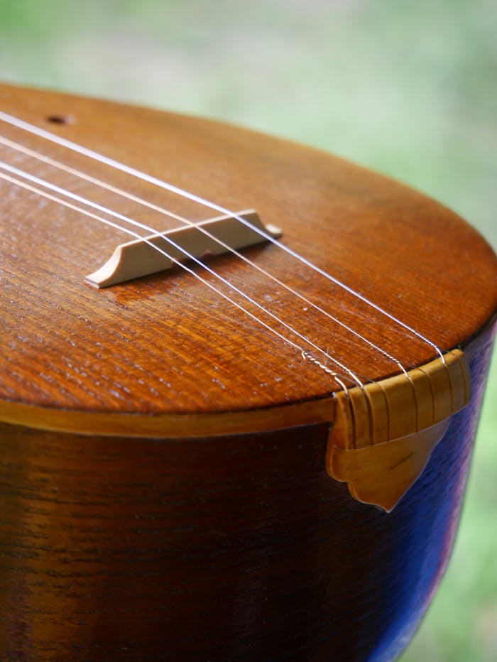 Detailed view of a stringed musical instrument with a wooden body, showcasing craftsmanship.