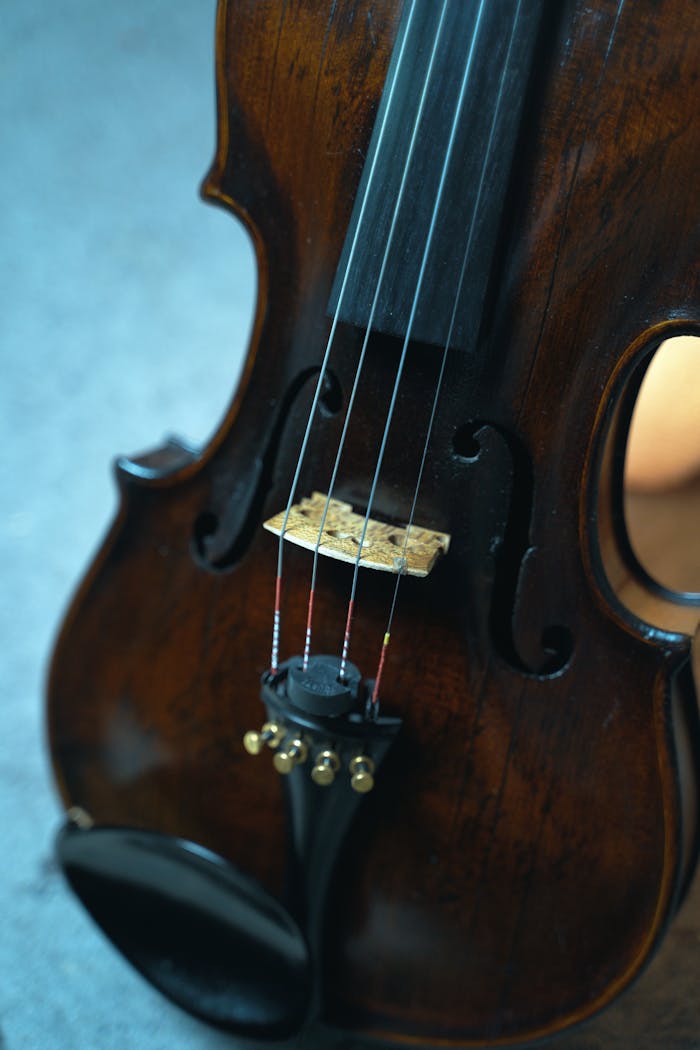 Detailed close-up of a violin focusing on strings and bridge, highlighting the craftsmanship of the musical instrument.