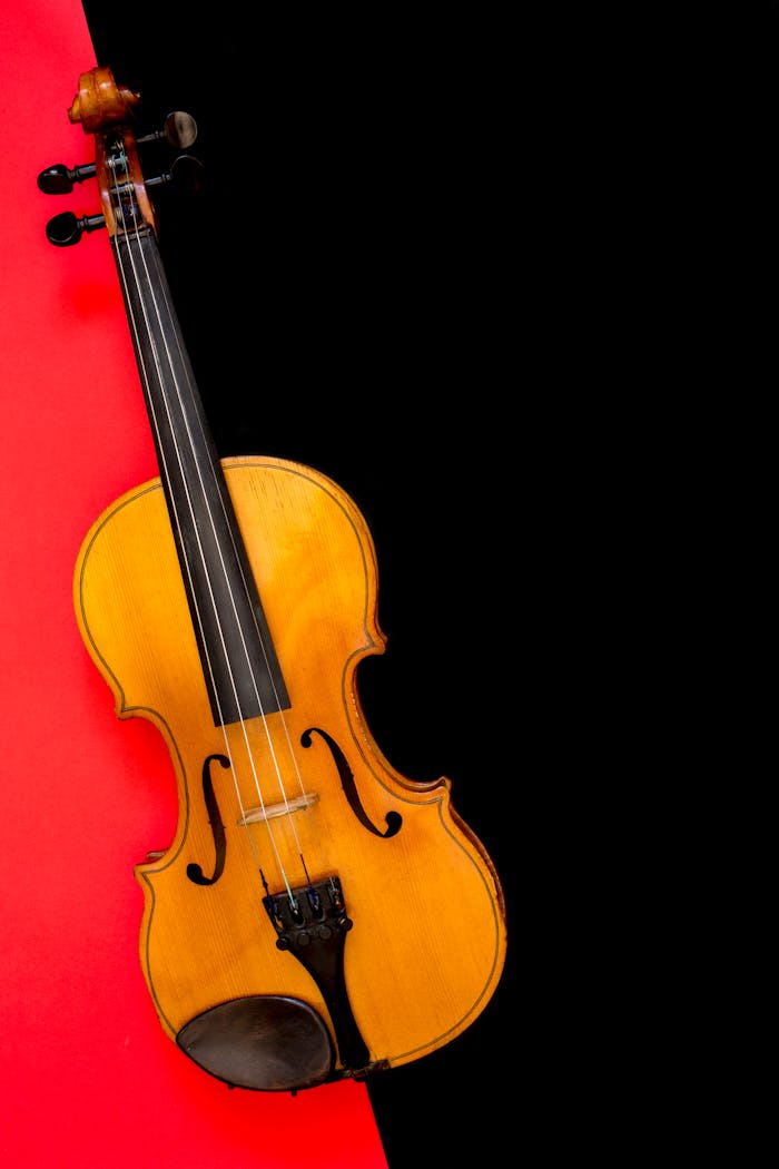 A beautifully crafted violin displayed on a striking red and black background, showcasing its classic design.